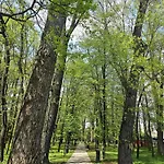 Lägenhet Park