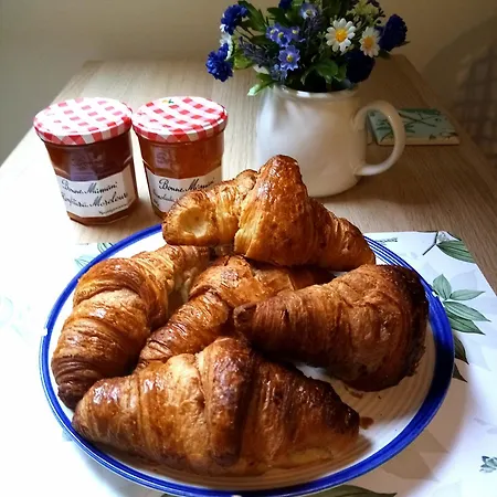 Park * كراكوفيا