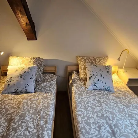 Park Apartment Krakow