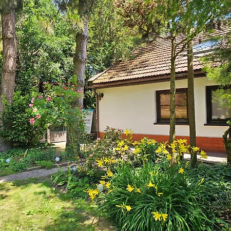 Park * Krakow