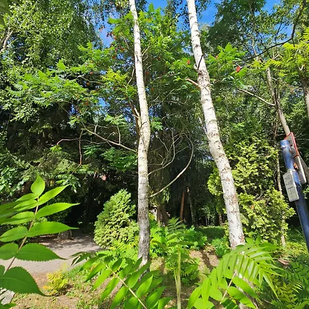 דירה Park קרקוב