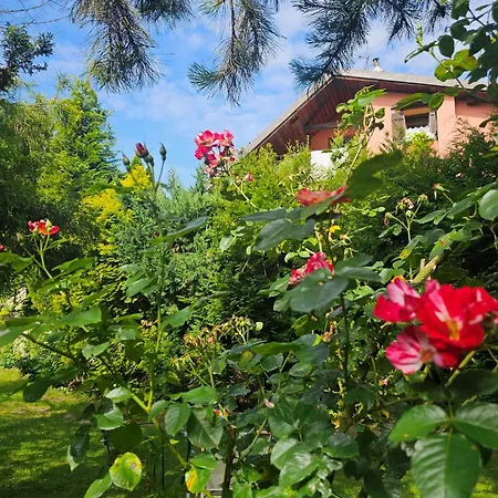 Park Apartman Krakkó