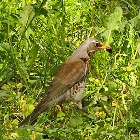 Park דירה קרקוב