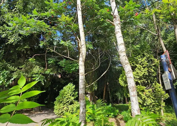 Διαμέρισμα Park Krasków