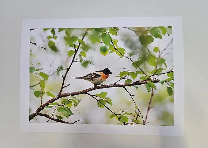 Апартаменты Park