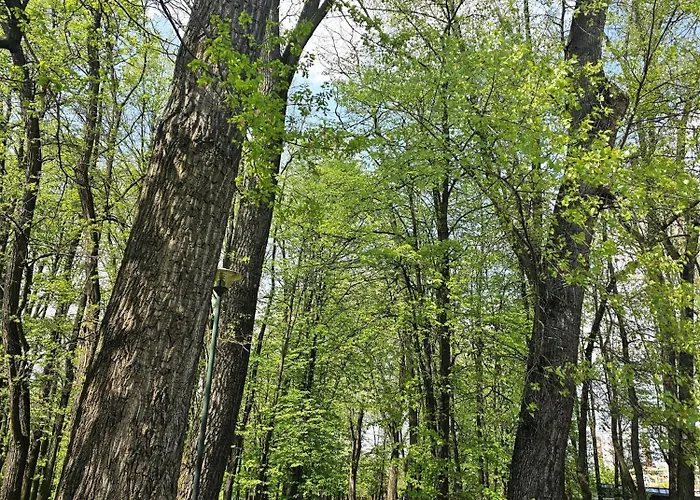 Διαμέρισμα Park