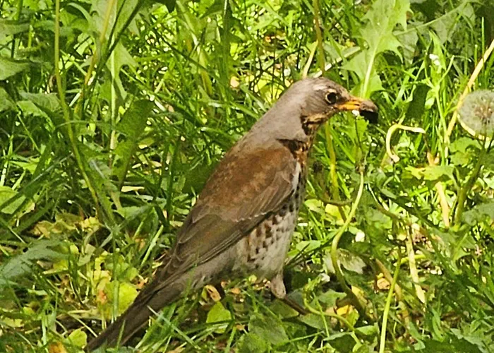 Park Appartement Krakau